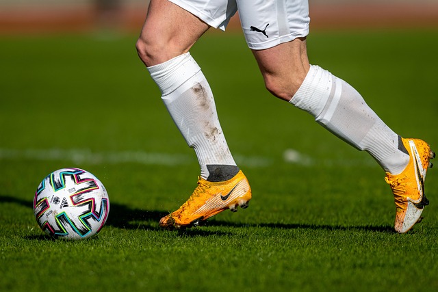 完美展现了 完美展现了