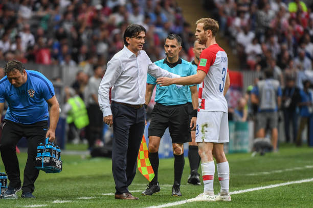 这种不懈的 这种不懈的